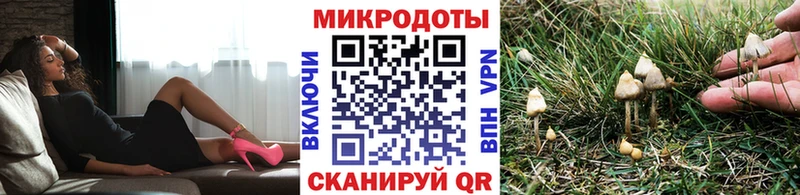 мориарти какой сайт  Чулым  Псилоцибиновые грибы GOLDEN TEACHER  купить  